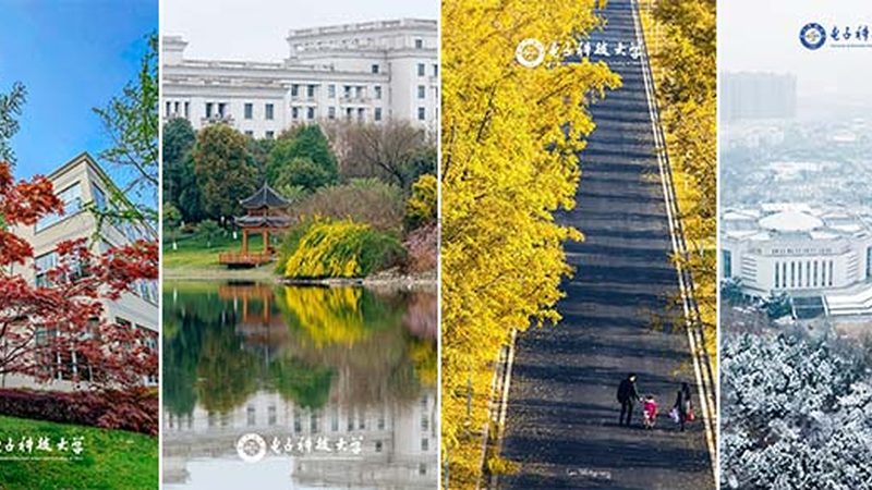 电子方案设计外包：揭秘行业排名背后的考量因素