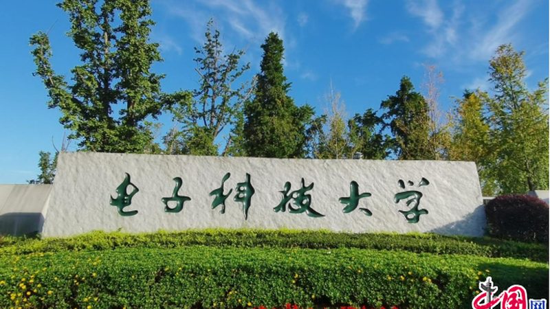 小家电电子代工：揭秘价格合理背后的秘密