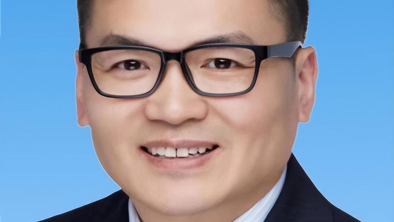 国产二极管崛起：性价比之选背后的技术考量